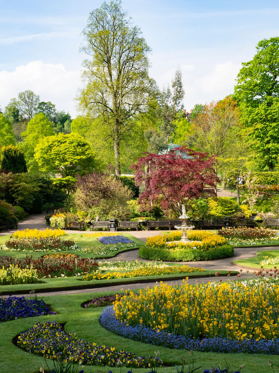 spring flowers and lush trees surround the paths of the Dingle, Shrewsbury.