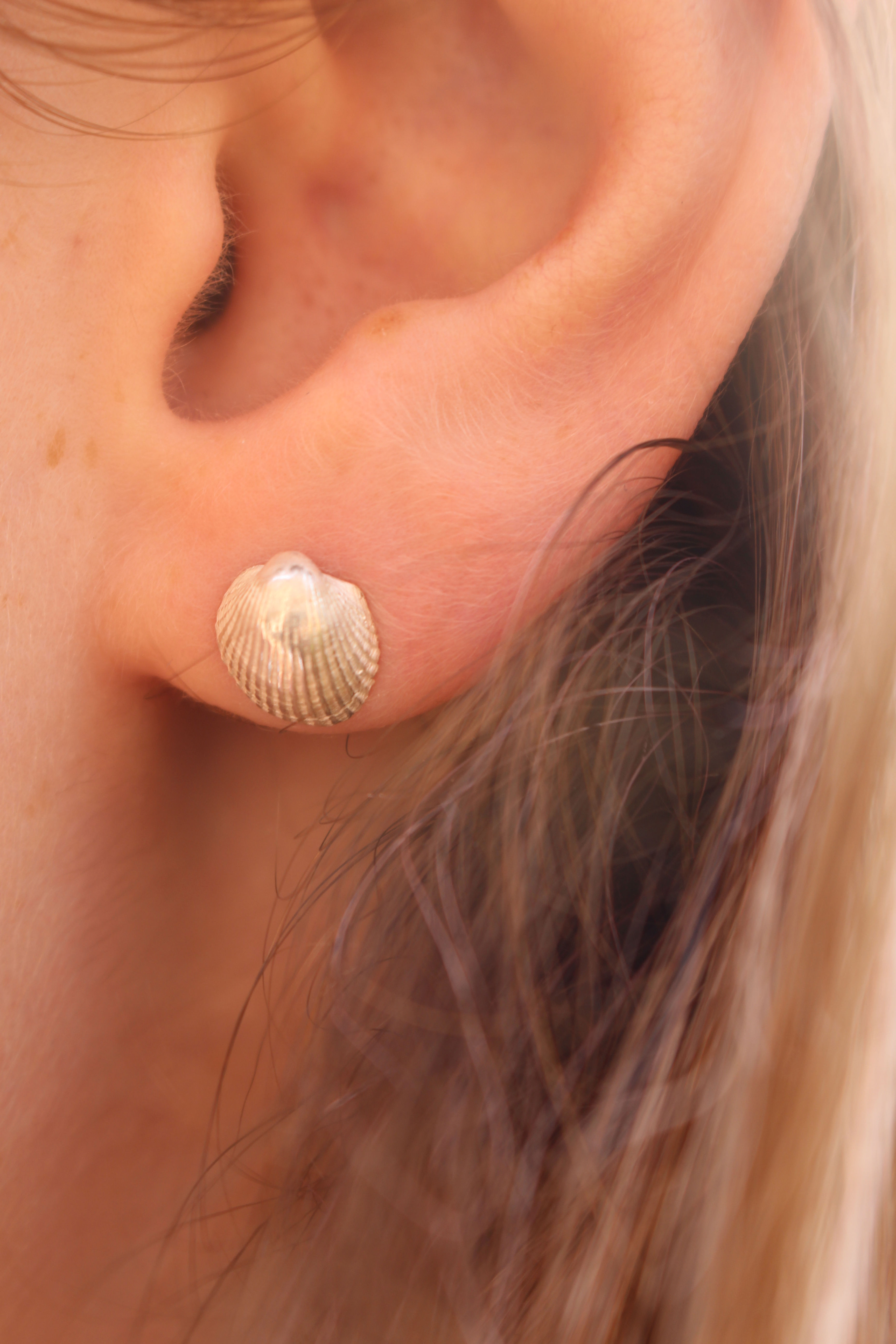 Silver Shell Studs