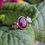 Thumbnail: Silver Oval pink Tourmaline Flower Ring