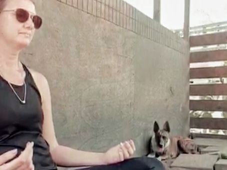 World Animal Reiki day 2024