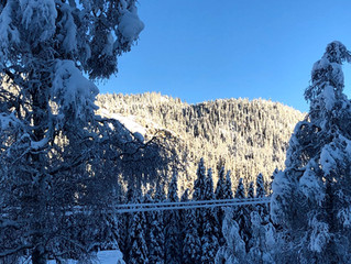 Onsdagsmiddag i Åmotsdal
