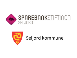 Kulturpris og kulturstipend Seljord