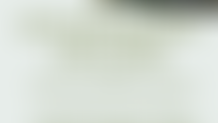 Stolpejakten i Seljord