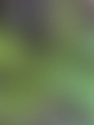 はじめのブログ