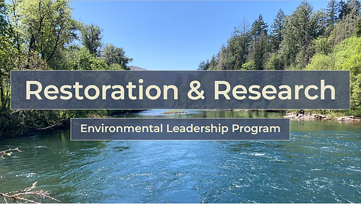 final presentation.PNG