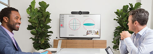 Videoconference Final.jpg