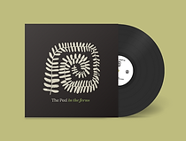 The Peel - In the Ferns - Vinyl Jacket Cover and Record