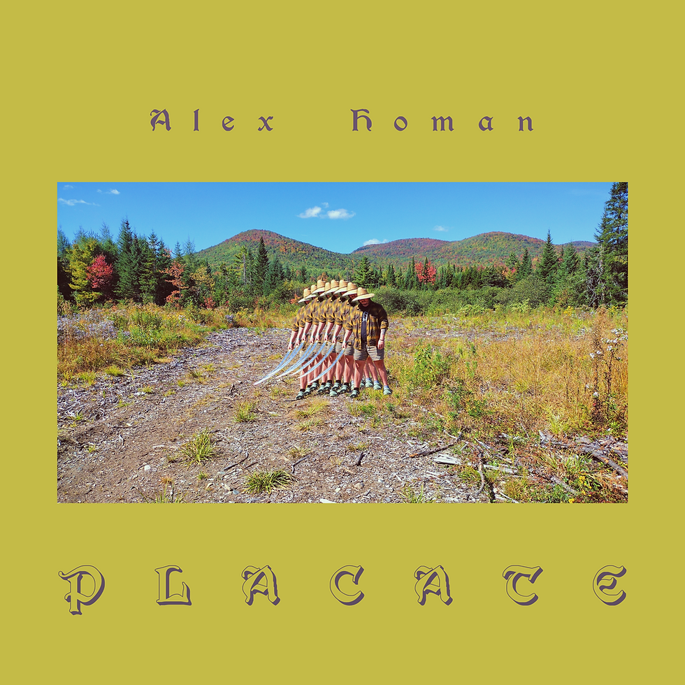 Album cover art for Placate by Alex Homan