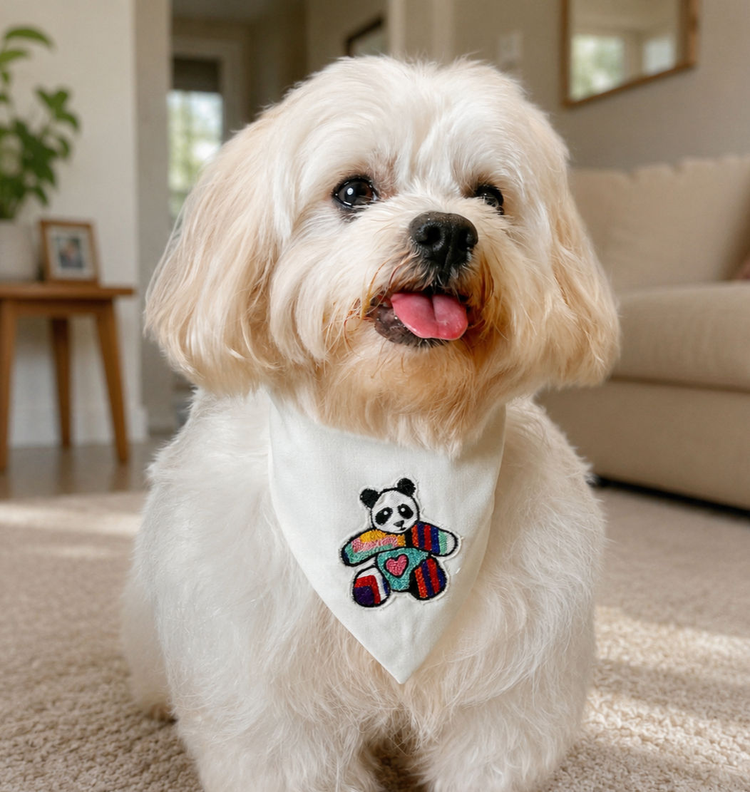 Panda Bear Scrunchie Bandana on a Maltese dog.