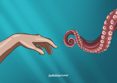 my octopus teacher.jpg