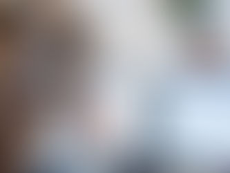 Den forenklede proces – tidligere kendt som småsagsprocessen