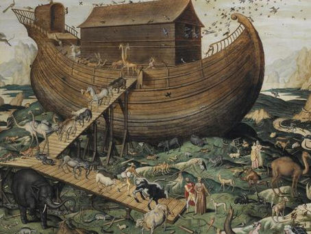EL ARCA DE NOÉ