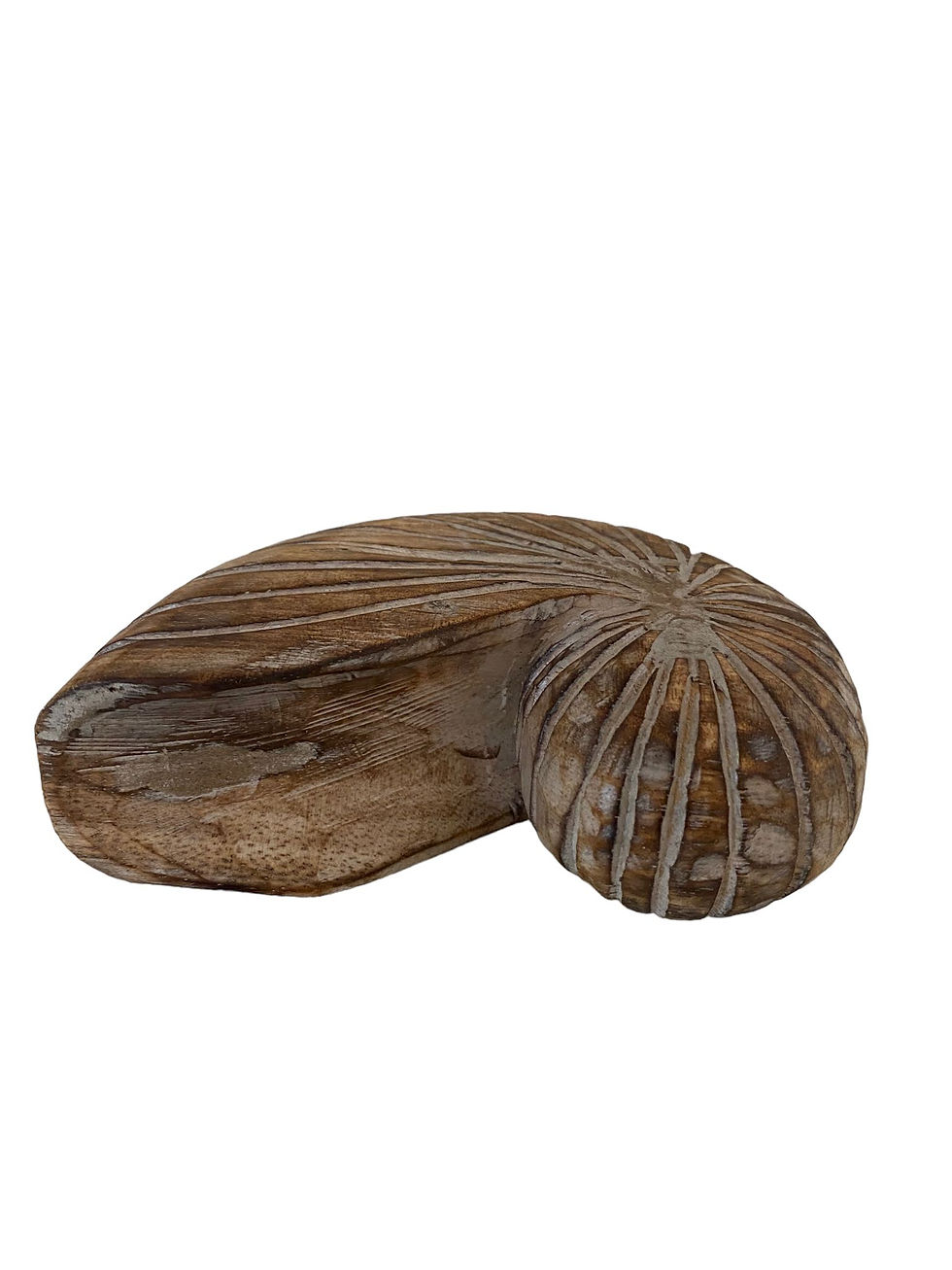 Thumbnail: Wooden snail
