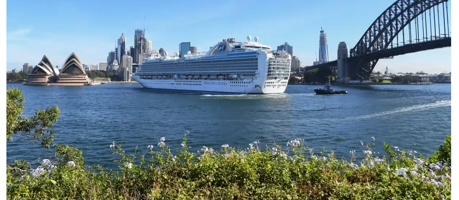 NSW Port Authority warned in January of ‘gaping hole’ in coronavirus biosecurity checks