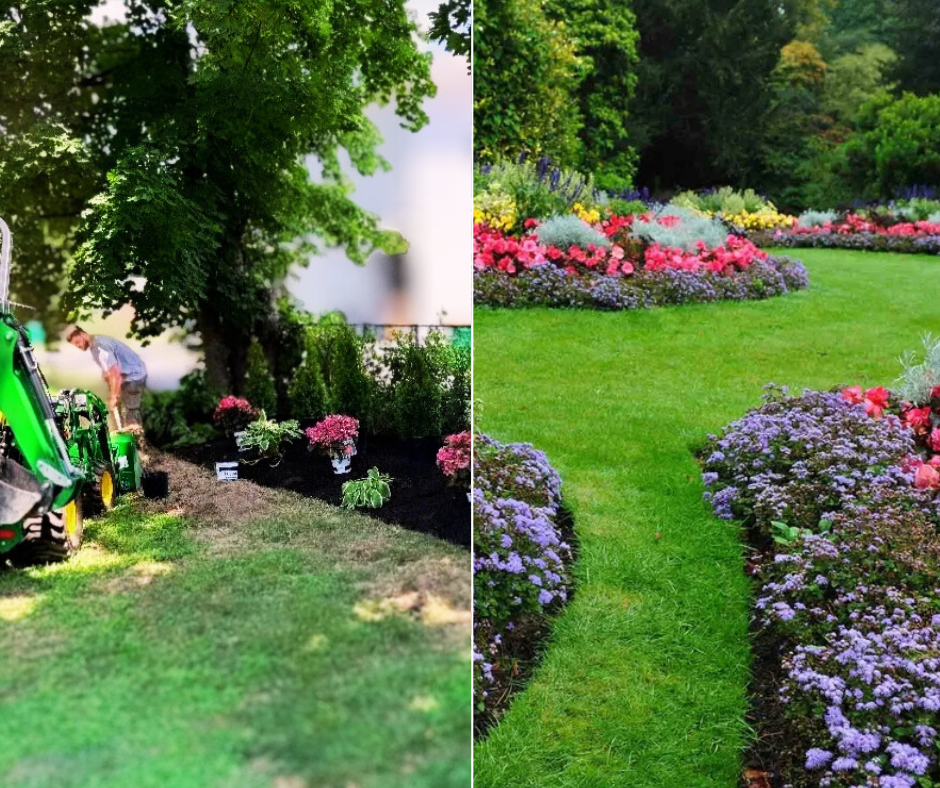 Untitled design (11).png