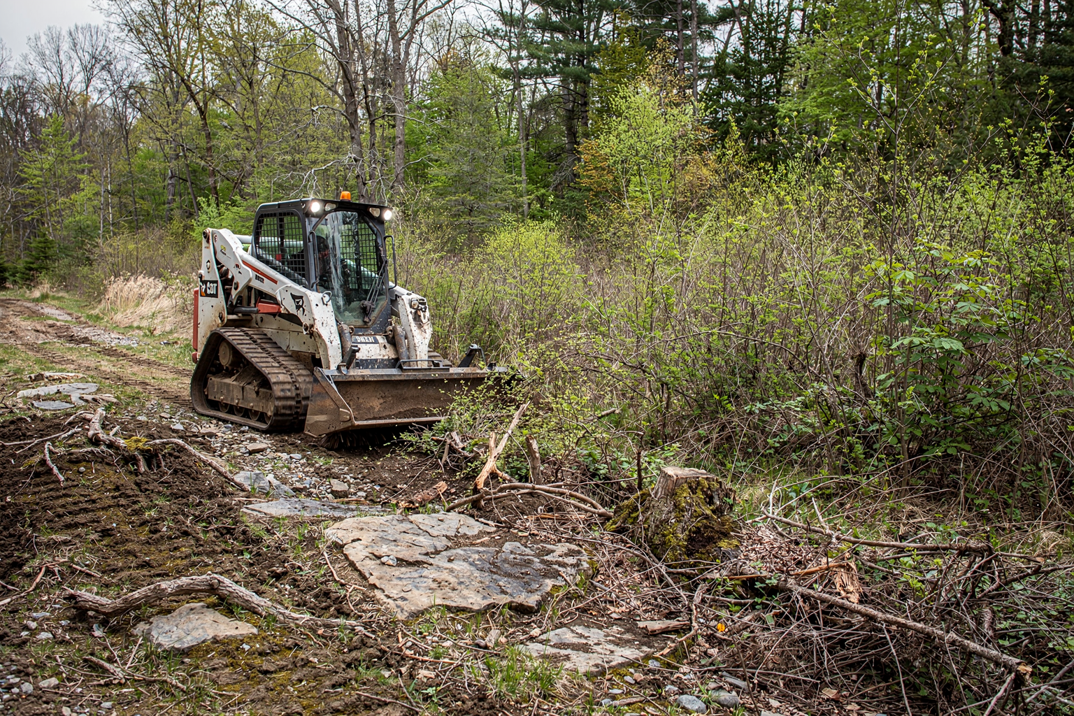 Brush Clearing & Brush Hogging
