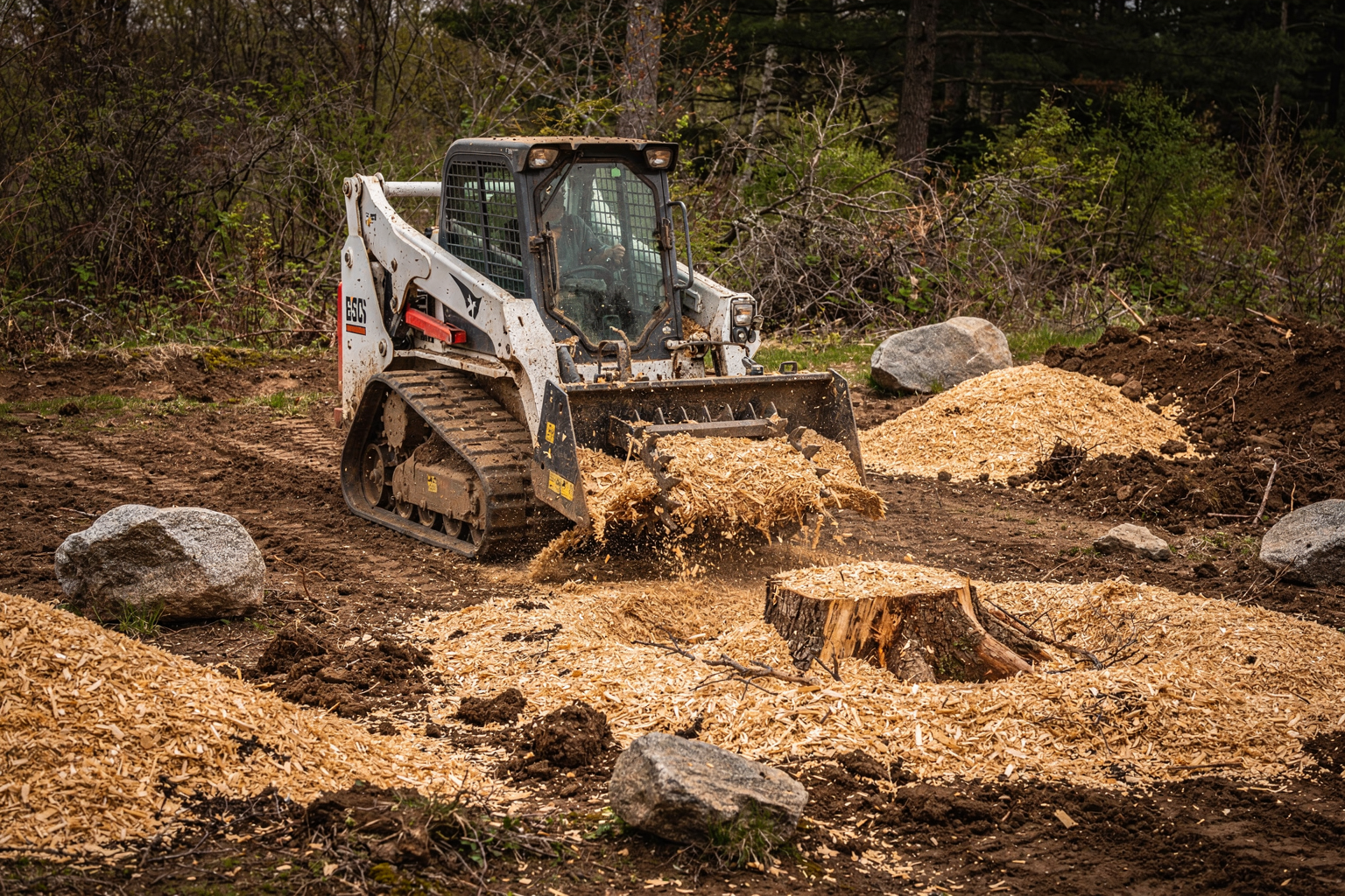 Stump Grinding — Dutchess County, NY