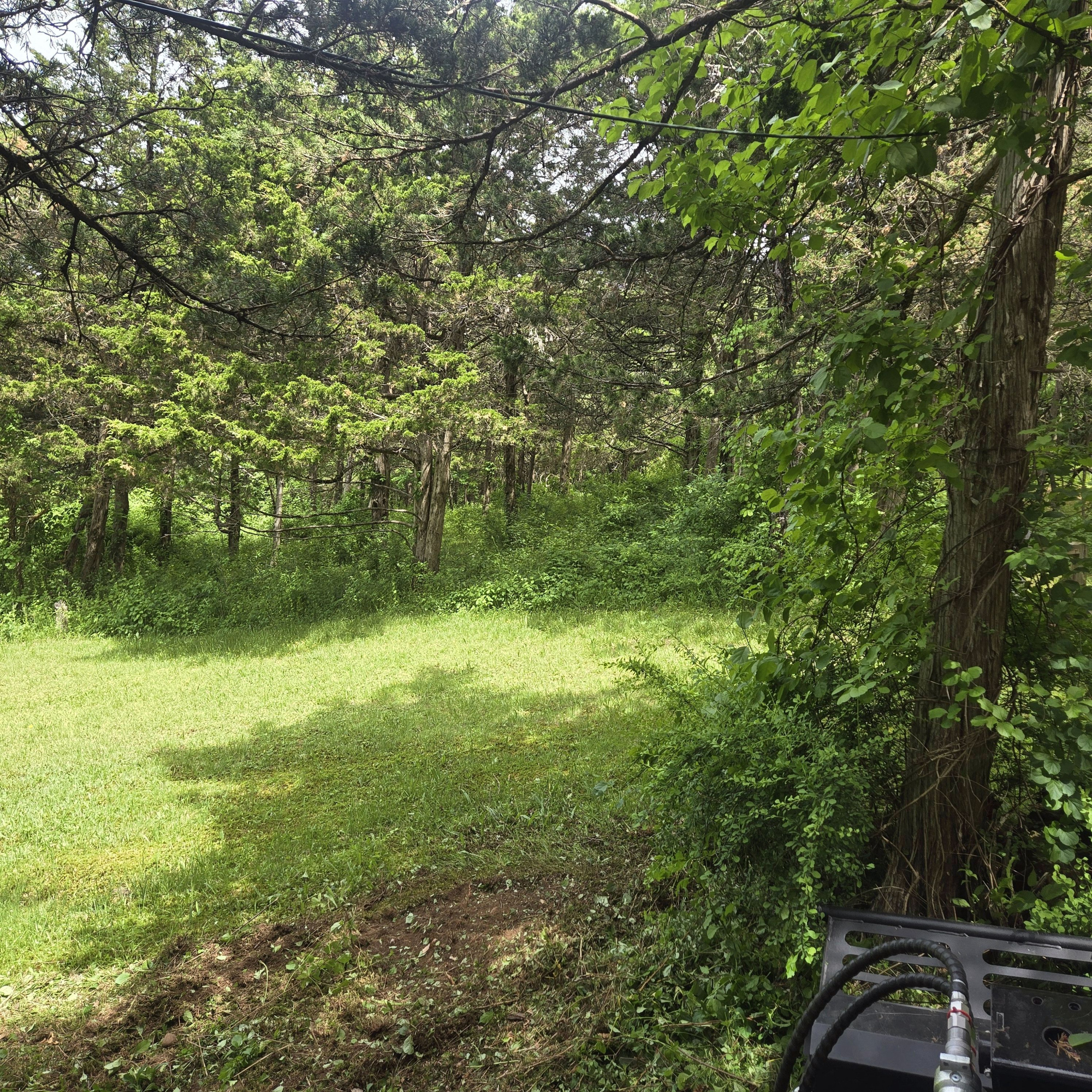 ATV Engine Repair — Service for Overlooked, Specialty, and Imported ATVs