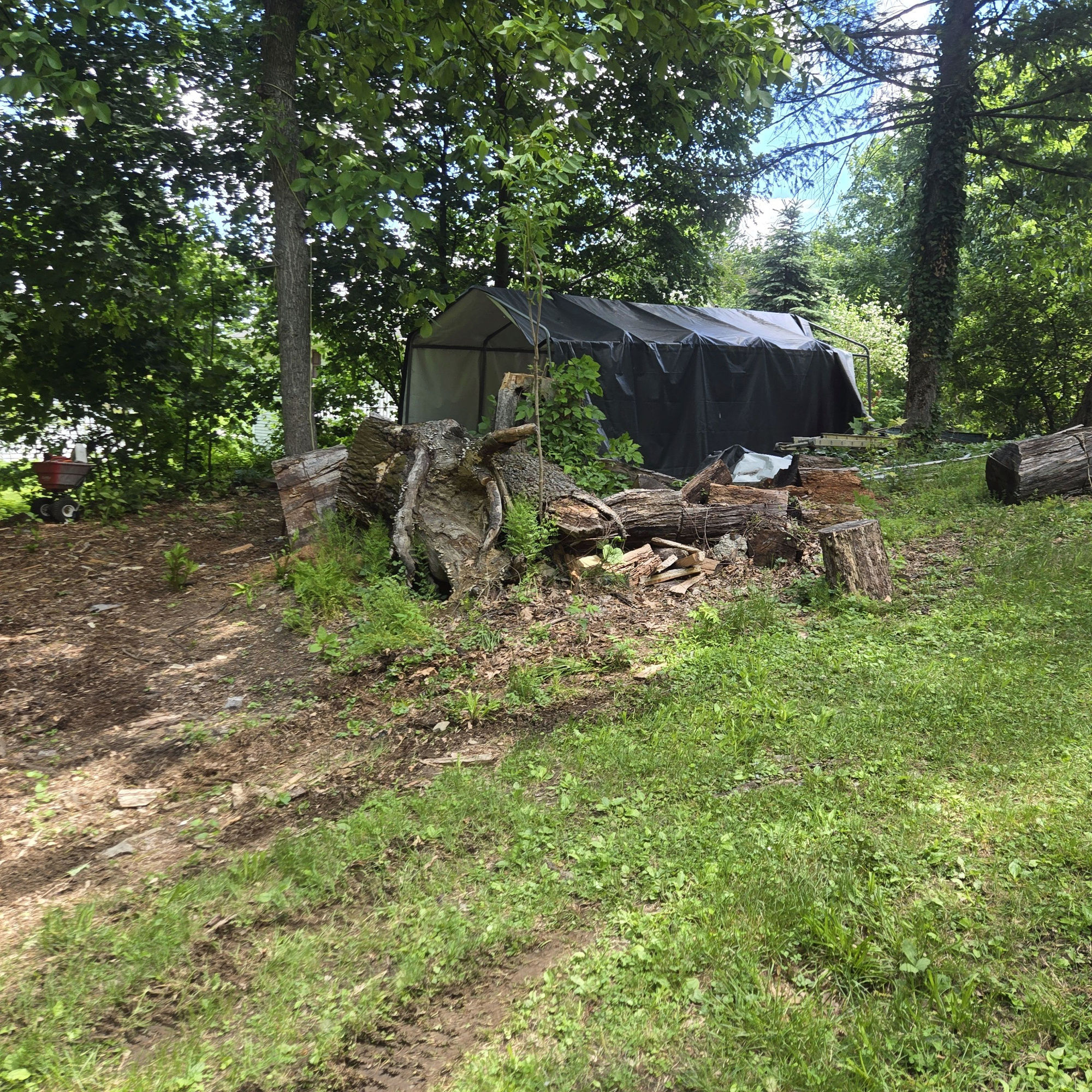 ATV Engine Repair — Field-Based Engine Diagnosis and Repair for All ATV Brands