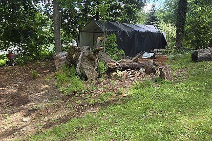 Tree Removal — Storm Response and Emergency Tree Removal in Rhinebeck