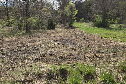 Land Clearing