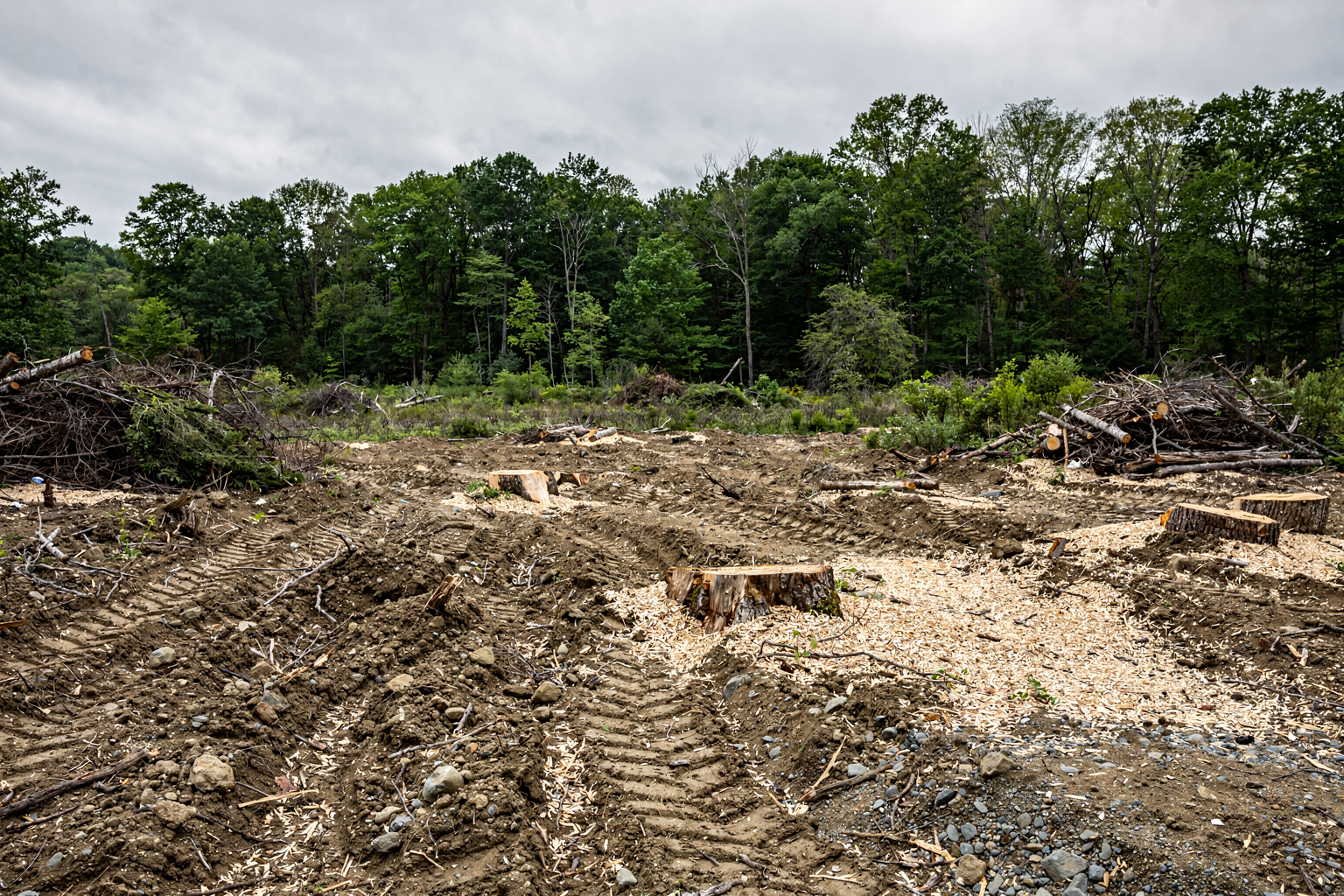 Land Clearing