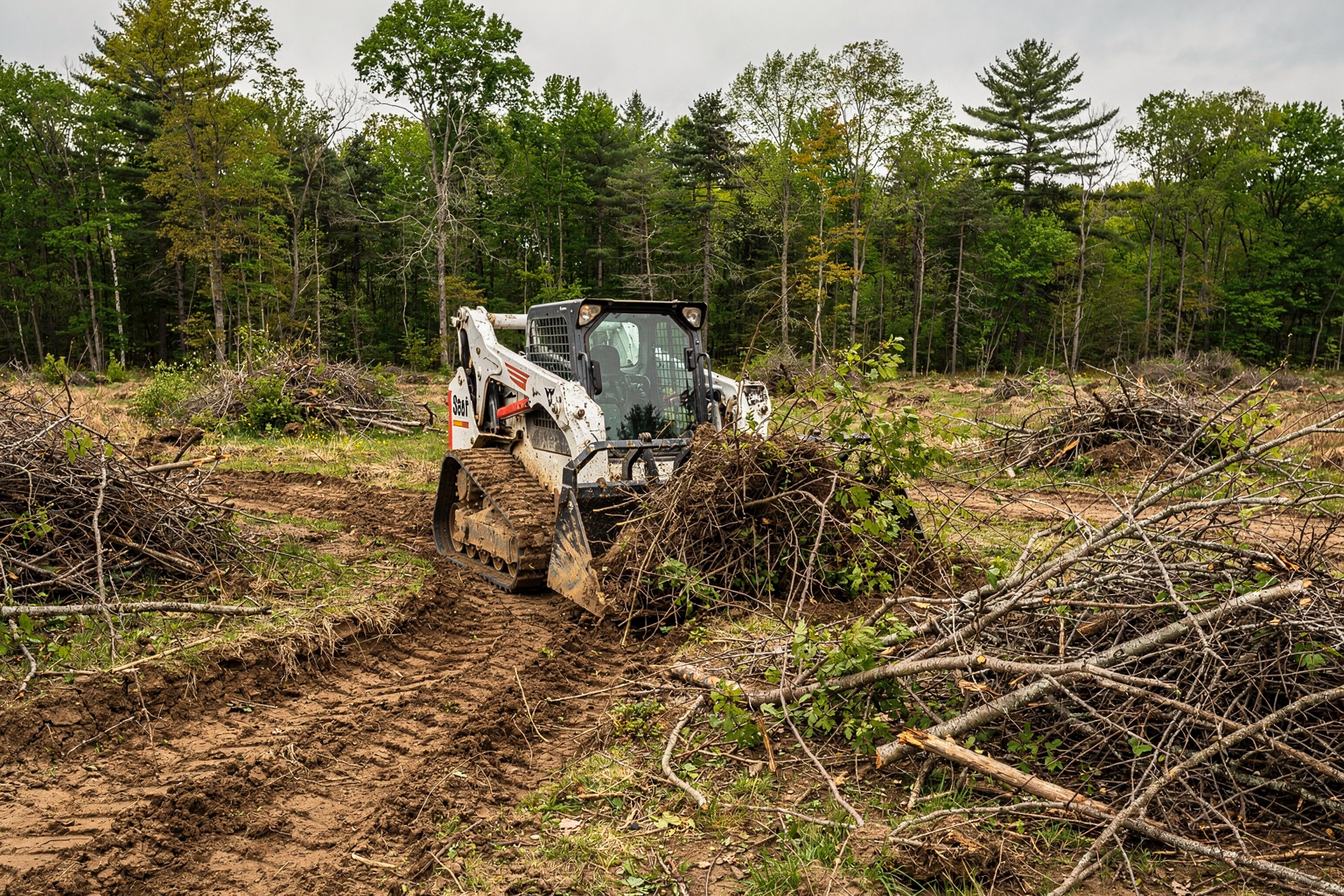 Lot Clearing