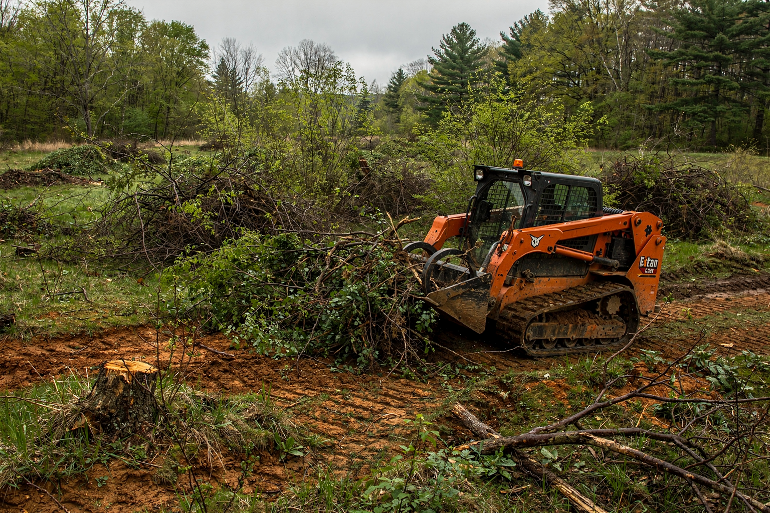 Overgrown Property Reclamation