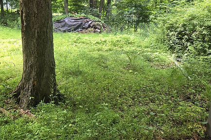 Compressor Pump Rebuild — Mobile Diagnosis and Complete Pump Overhaul Dobbs Ferry