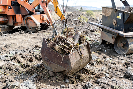 Brush Clearing & Brush Hogging — Locally Tuned for Dutchess County Vegetation and Terrain