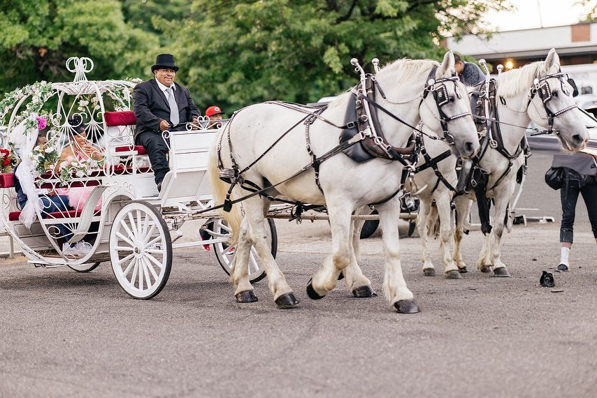 Cinderella Pumpkin Carriage - A Real-Life Fairytale Ride