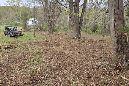 Forestry Mulching in Beacon, NY