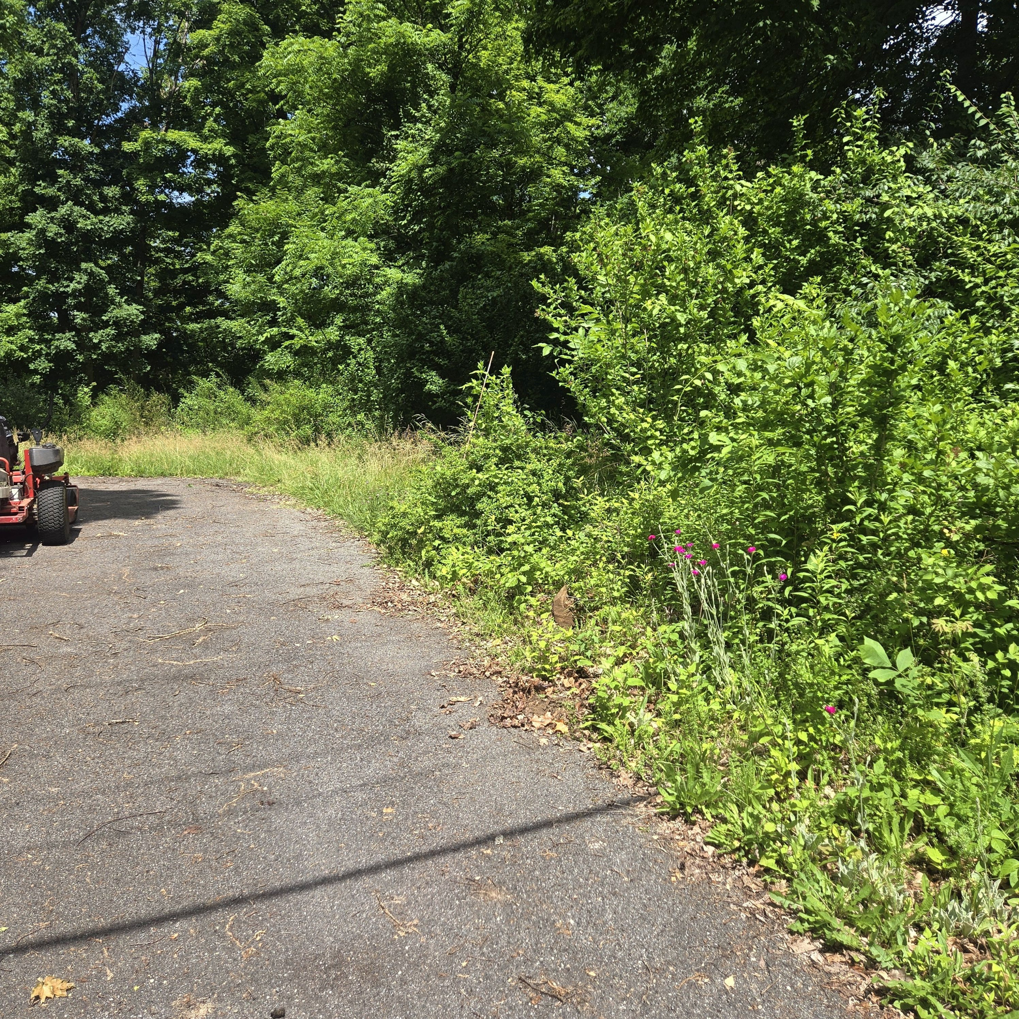 Zero-Turn Mowers