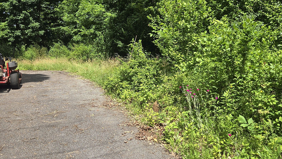 Gravel Driveway Reconditioning in Hillside Lake, NY