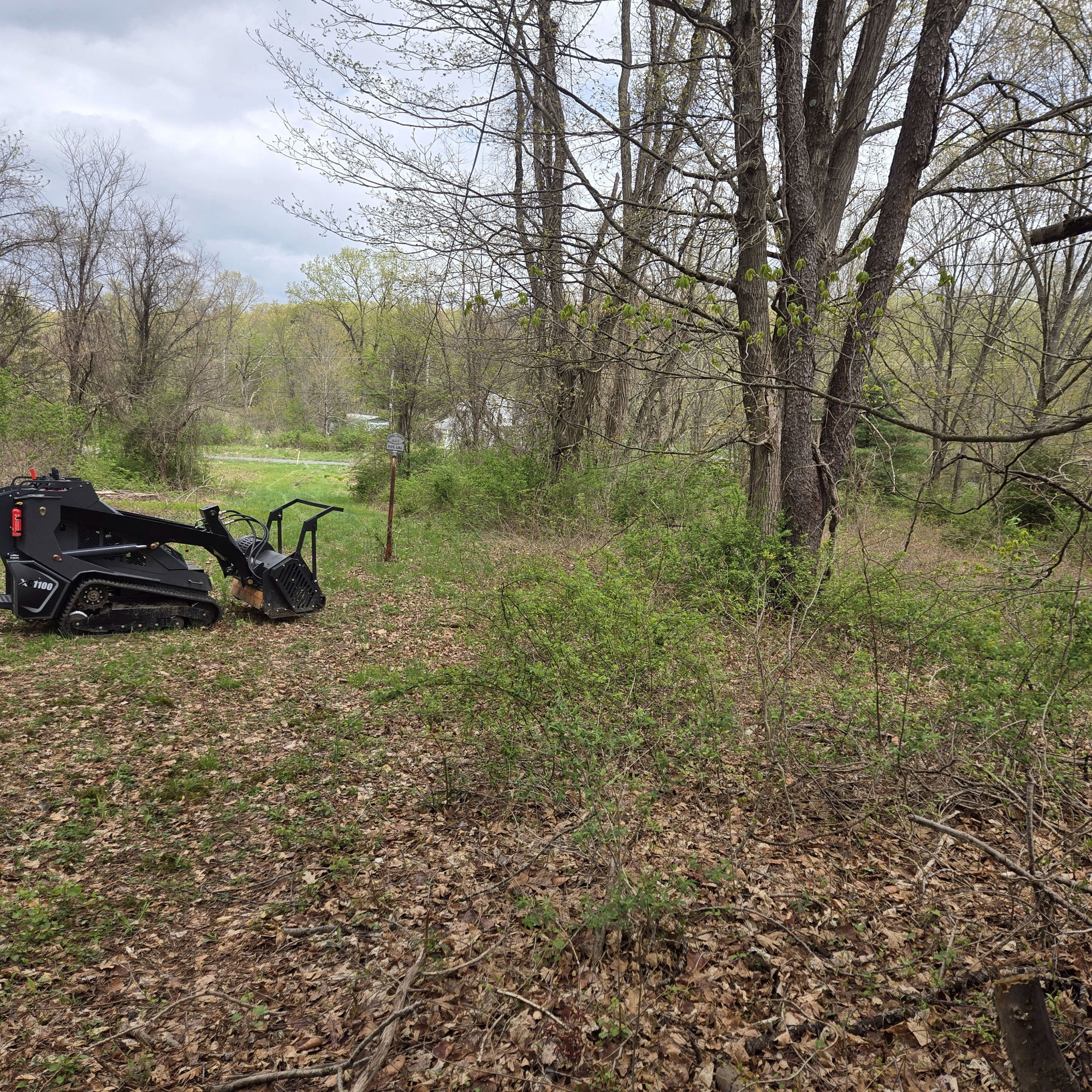 Lot Clearing — Dutchess County