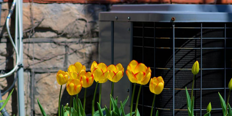 Boiler Maintenance — Spring Commissioning