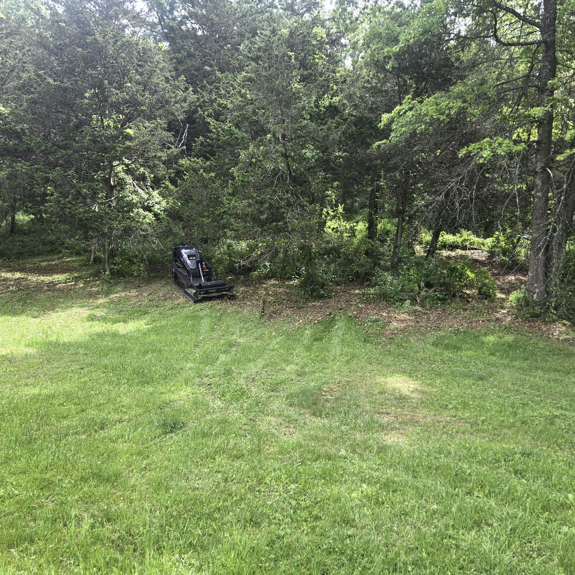 Skid Steers