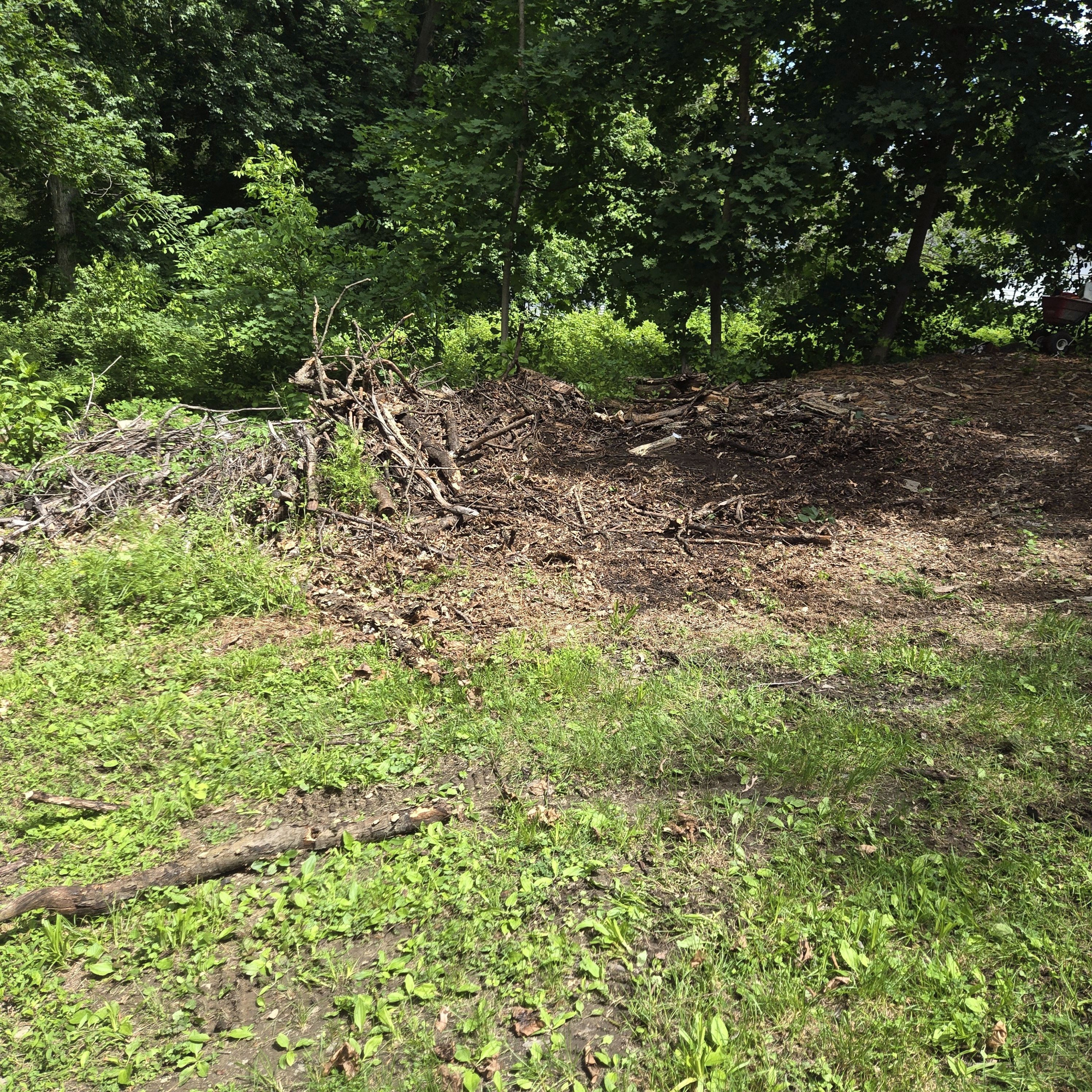 Zero-Turn Mower Engine Repair — Field-Based Failure Diagnostics and Rapid Turnaround