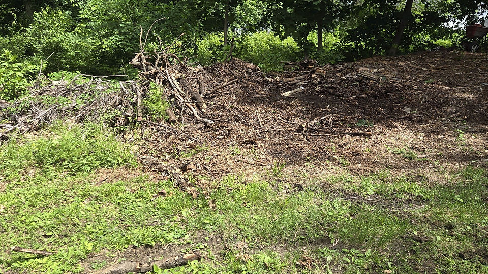 Field Edge Clearing in Bedford, NY