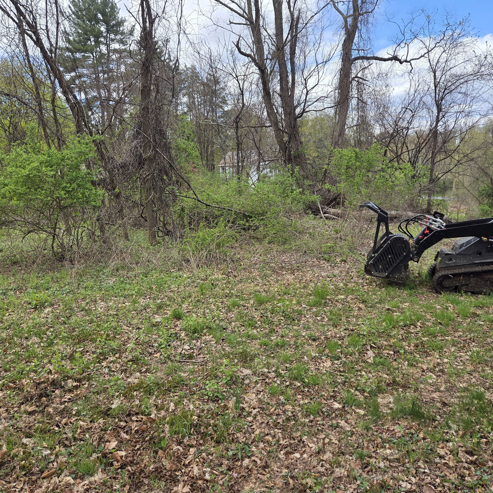 Brush Clearing & Brush Hogging — Dutchess County