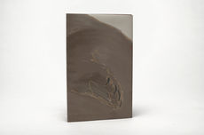 Tanwen McIntyre Sometimes a Wild God Bear 05