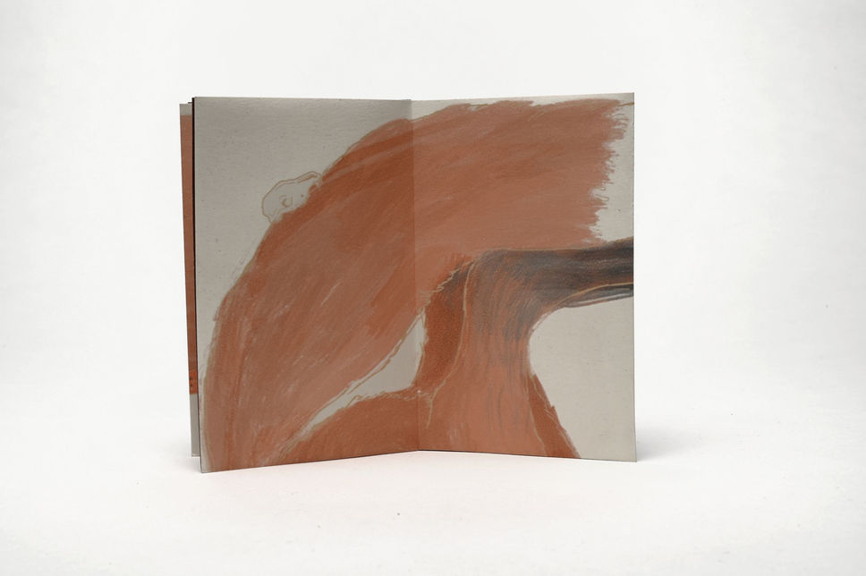 Tanwen McIntyre Sometimes a Wild God Fox 04.jpg