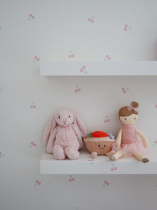 A Sweet and Livable Teen Girl’s Room