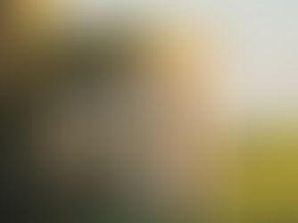 Una boda de ensueño en La Baronia, Barcelona