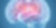 brain mapping, neurological, light blue and grey colours, clinical advanced.jpg