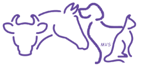 Maranoa Veterinary Surgery