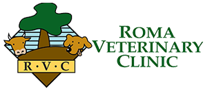 Roma Veterinary Clinic
