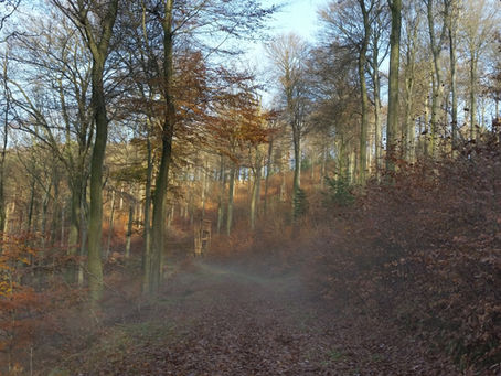 Waldjägerlehrgang 2023