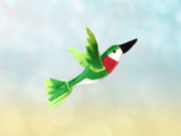 Hummingbird, Ruby Throated