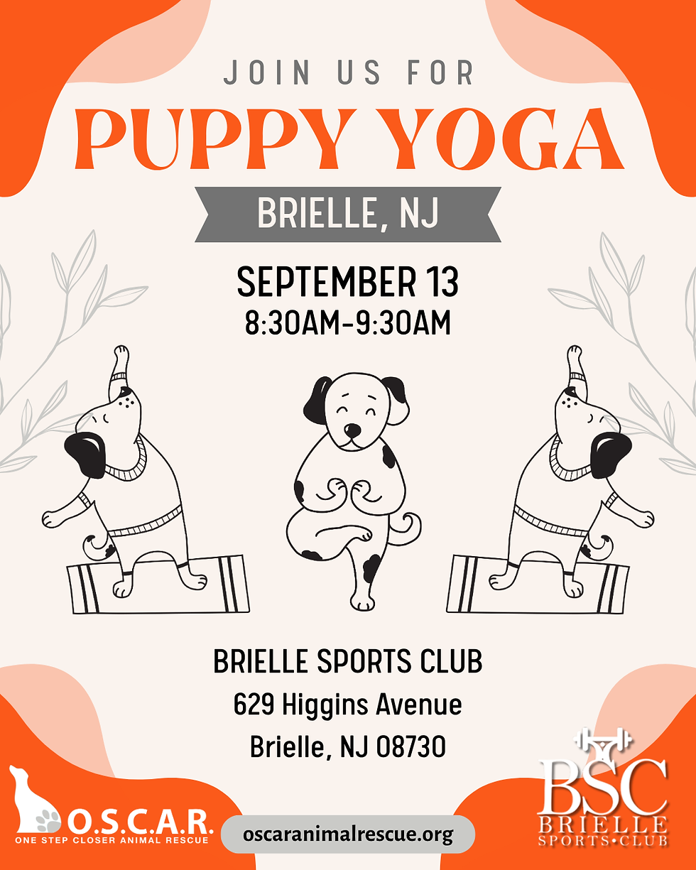 09-13-25 - Puppy Yoga.png